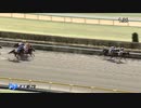 ウエヲムイテゴラン　東京・3歳未勝利　2024年2月11日