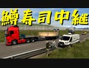 【Euro Truck Simulator 2】ペーパー歴10年が特殊貨物輸送　ランス → ストラスブール / ハイテクデバイス（#217）【実況プレイ】
