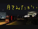 【Euro Truck Simulator 2】ペーパー歴10年が Ver.1.49 にアプデされたユーロで月見配送（#221）【実況プレイ】