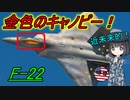 【兵器解説】なんでキャノピーが金色に輝く戦闘機がいるの？