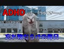 【猫ミーム】愛と勇気とADHD～夜勤後お出かけ編～【発達障害】