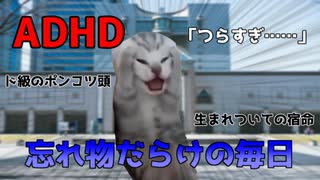 【猫ミーム】愛と勇気とADHD～夜勤後お出かけ編～【発達障害】