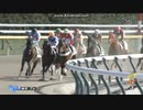 2024年2月11日　東京7R　3歳1勝クラス　ラタフォレスト