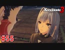 【実況】過去と未来をつなぐ、命の物語。『ゼノブレイド3』part55
