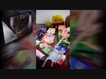 Chipi Chipi Chapa Chapa 家にあったゴミで叩いてみた