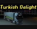 【Euro Truck Simulator 2】ペーパー歴10年がイスタンブールから2500キロ配送 Steam実績「Turkish Delight」に挑戦（#226）【実況プレイ】