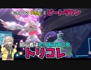 【解説】とりあえずこれで最強！？ダブルバトル基本の「ホ」、コンセプト：ビートダウンで上から殴っていけ【ポケモンSV　ダブル】