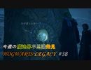 【ホグワーツレガシー】今週のHOWGWARTS LEGACY #38
