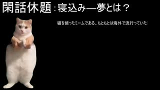 【猫ミーム　？】Die位置和:これは本当に猫ミームなのだろうか？違う！寝込みー無だと信じれば根古ミームなんだ！それと流行には載って桶