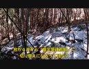 (クマの指定管理鳥獣への切り替えの話とか)変態忍者の、有害鳥獣駆除従事活動記・その２７３
