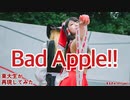 【東大生が】Bad Apple!! 【再現してみた】