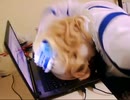 アリスとキーボード