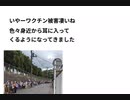 いやーワクチン被害凄いね　色々身近から耳に入ってくるようになってきました　Xディ防災サバイバル対策