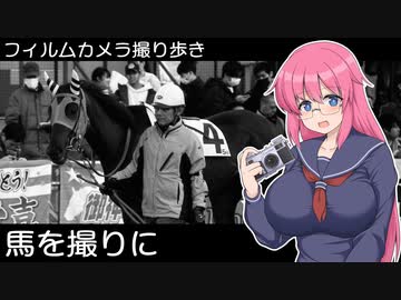 【ニコンF】馬を撮りに【フィルムカメラ撮り歩き】