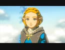 【Switch】リンクがゾナウとゼルダ探し旅【プレイ動画】part148