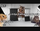 【遅漏編】ホモビデオ制作会社アルバイトの日常 #猫ミーム #猫マニ