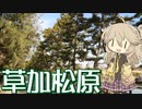 【VOICEVOX旅行】草加松原 松並木さんぽ ～和菓子とおせんべいと～