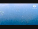 《自作曲》　雨のアラベスク