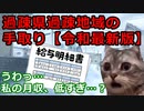 過疎県過疎地域の手取り【令和最新版】　#猫ミーム