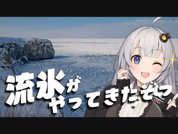 流氷がやってきたぞっ！