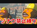 ゾナウ禁止縛りpart17【ティアキン/制限プレイ/ゼルダの伝説ティアーズオブザキングダム】