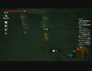 #107【ゼルダの伝説 ブレス オブ ザ ワイルド】はじめてだよヤシの実を供えるなんて！