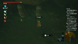 #107【ゼルダの伝説 ブレス オブ ザ ワイルド】はじめてだよヤシの実を供えるなんて！