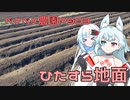 2024年2月12日　農作業日誌P903　まだまだ芽は出てきてないけどジャガイモの畝の管理作業