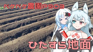 2024年2月12日　農作業日誌P903　まだまだ芽は出てきてないけどジャガイモの畝の管理作業