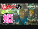 【ゼルダの伝説Totk】このハイラルで一番自由な奴が勇者だ！【実況】Part52