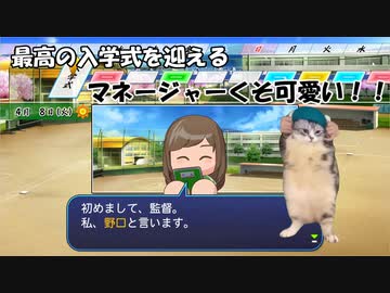 これまでの栄冠ボイスロイドナインR【猫ミーム】