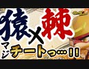 【Gunfire Reborn】猿に棘の甲羅を合わせるとチートになった件 VOICEROID実況