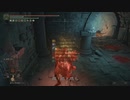 エルデンリング TMCターニッシュドメイクライ侵入part141