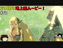 【ゆっくり実況】2つ目の地上絵を目指して！ 初めてのティアーズオブザキングダム！ part60【ティアーズオブザキングダム】