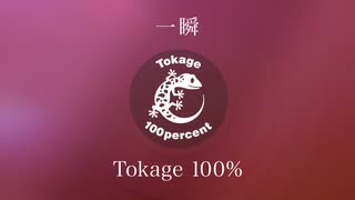 Tokage 100%「一瞬」