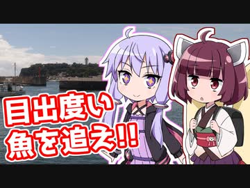 ゆかきり見聞録　～『真夏の昼の船釣り』の巻～