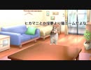 猫ミーム