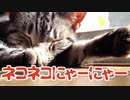 【猫がテーマのかわいいピアノボカロ曲】ネコネコにゃーにゃー feat. 初音ミク