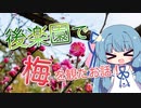 後楽園で梅を観たお話！【VOICEROID旅行】