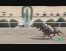 2024年2月12日佐賀競馬2R ＦＵＪＩ協賛 ＦＵＪＩ ＢＡＲオープン記念レース(C2-12組) コウユーマサニキミ