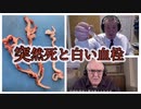 若年層の突然死と白い血栓ー葬儀屋の訴えが握り潰されている現実（自動翻訳）