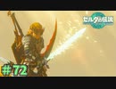 ごめん、そのお面じゃなかったわ　「ゼルダの伝説～ティアーズ・オブ・ザ・キングダム」　＃72
