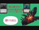 MTG初心者が行くスタン頂点（ミシック）までの道part4～ミシュラ大好き～