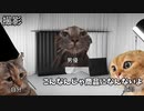 【早漏編】ホモビデオ制作会社アルバイトの日常 #猫ミーム #猫マニ