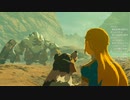 #108【ゼルダの伝説 ブレス オブ ザ ワイルド】ダルケルの護り！