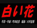 白い花