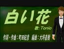 【TONIO】白い花【カバー曲】