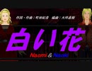 【Naomi＆Naoki】白い花【カバー曲】