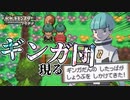 失ったポケモンは二度と戻らない。【ポケモンプラチナ】#9