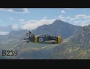 [War Thunder] B239